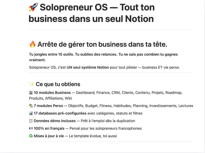 Apercu Solopreneur OS Notion 1