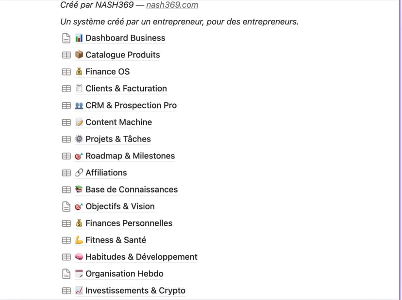 Apercu Solopreneur OS Notion 2