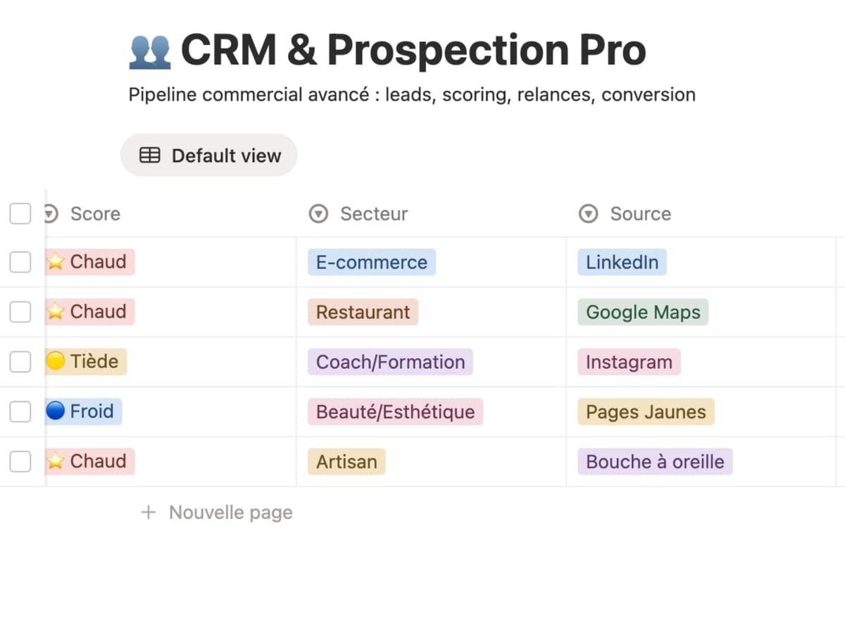 Apercu 3 du template Solopreneur OS Notion